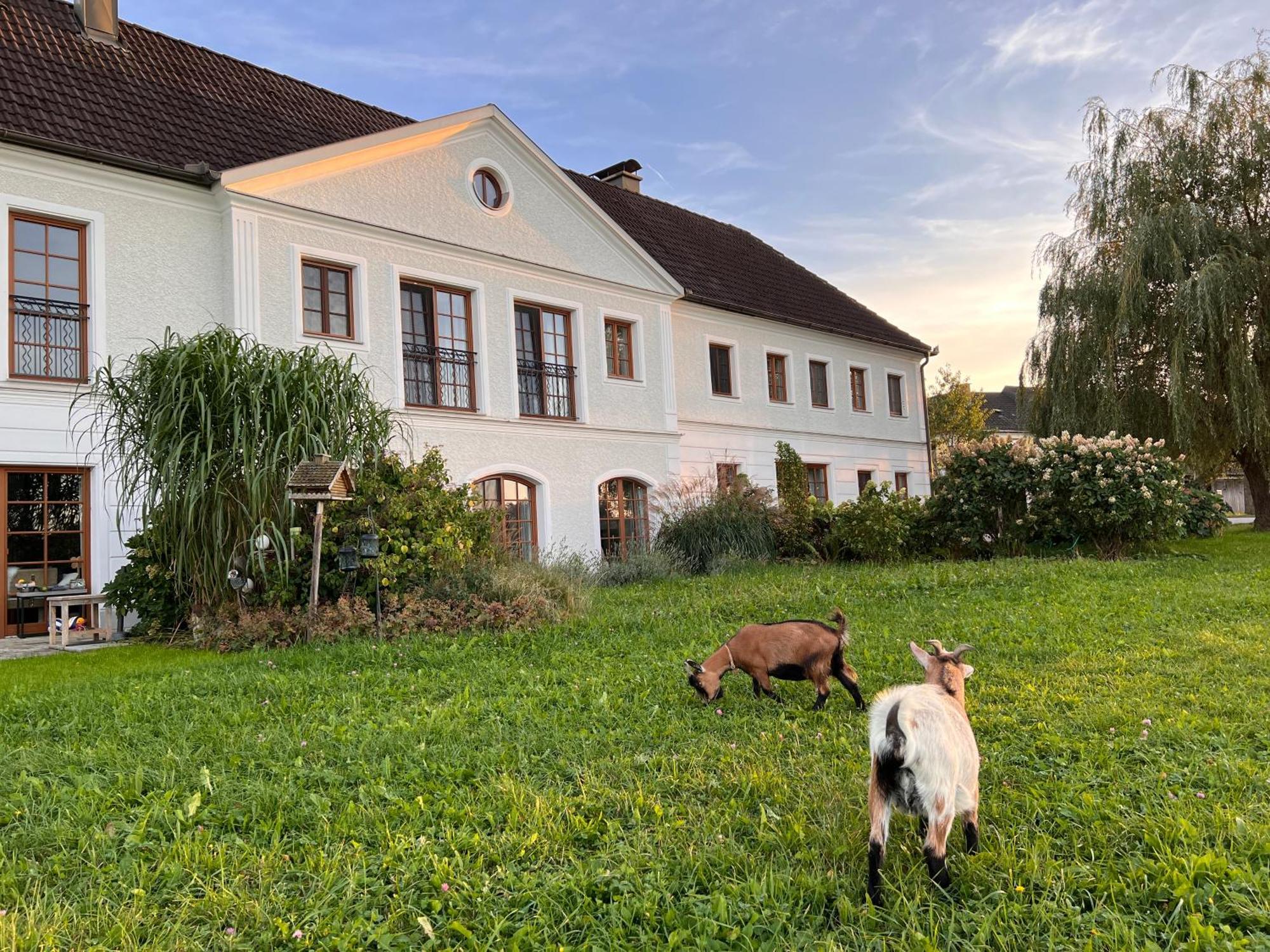 Landhaus Aigner Allhartsberg Exterior foto